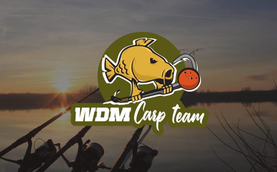 WDM Carp Team